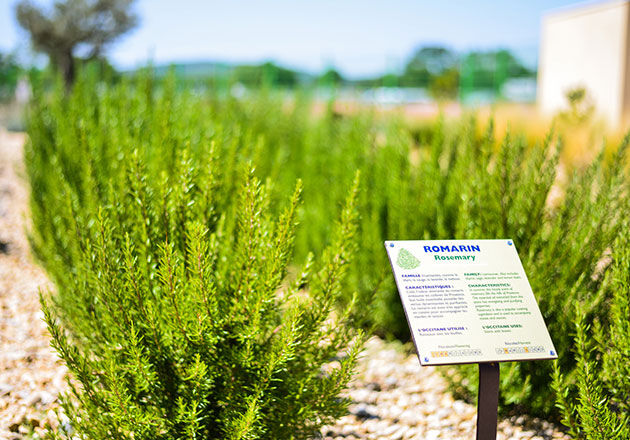 l'occitane mediterranean garden tour in manosque